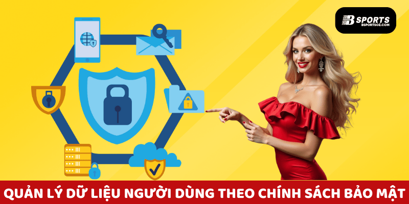 Giao diện quản lý dữ liệu người dùng theo chính sách bảo mật Bsports nghiêm ngặt.