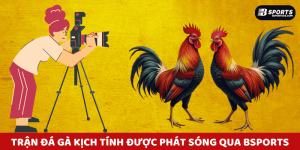 Trận đá gà kịch tính được phát sóng qua chuyên mục đá gà Bsports.