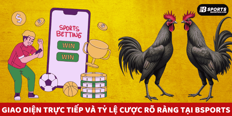Giao diện trực tiếp và tỷ lệ cược rõ ràng tại đá gà Bsports.