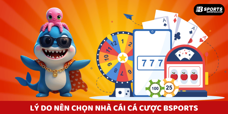 Lý do nên chọn nhà cái Bsports làm bạn đồng hành